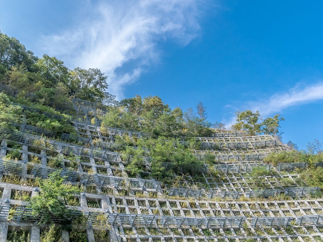 AdobeStock_140265946
