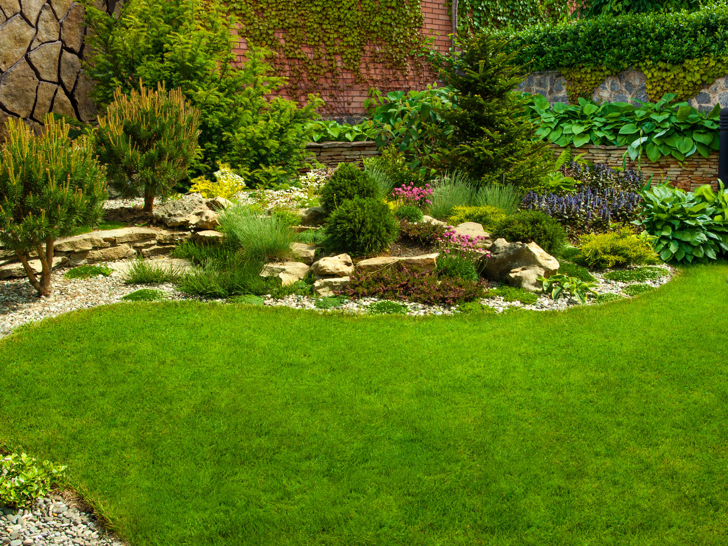 Detail of a botanical garden.